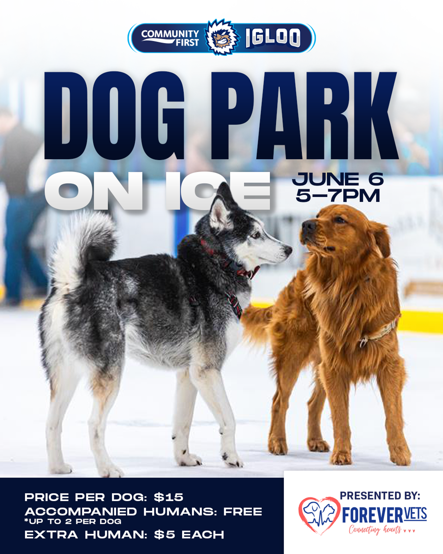JAX Dog Park On Ice 6.6.26 1350X1080