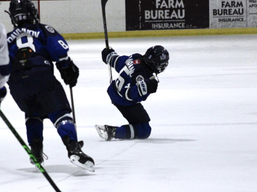 10U Jr Icemen Image 5