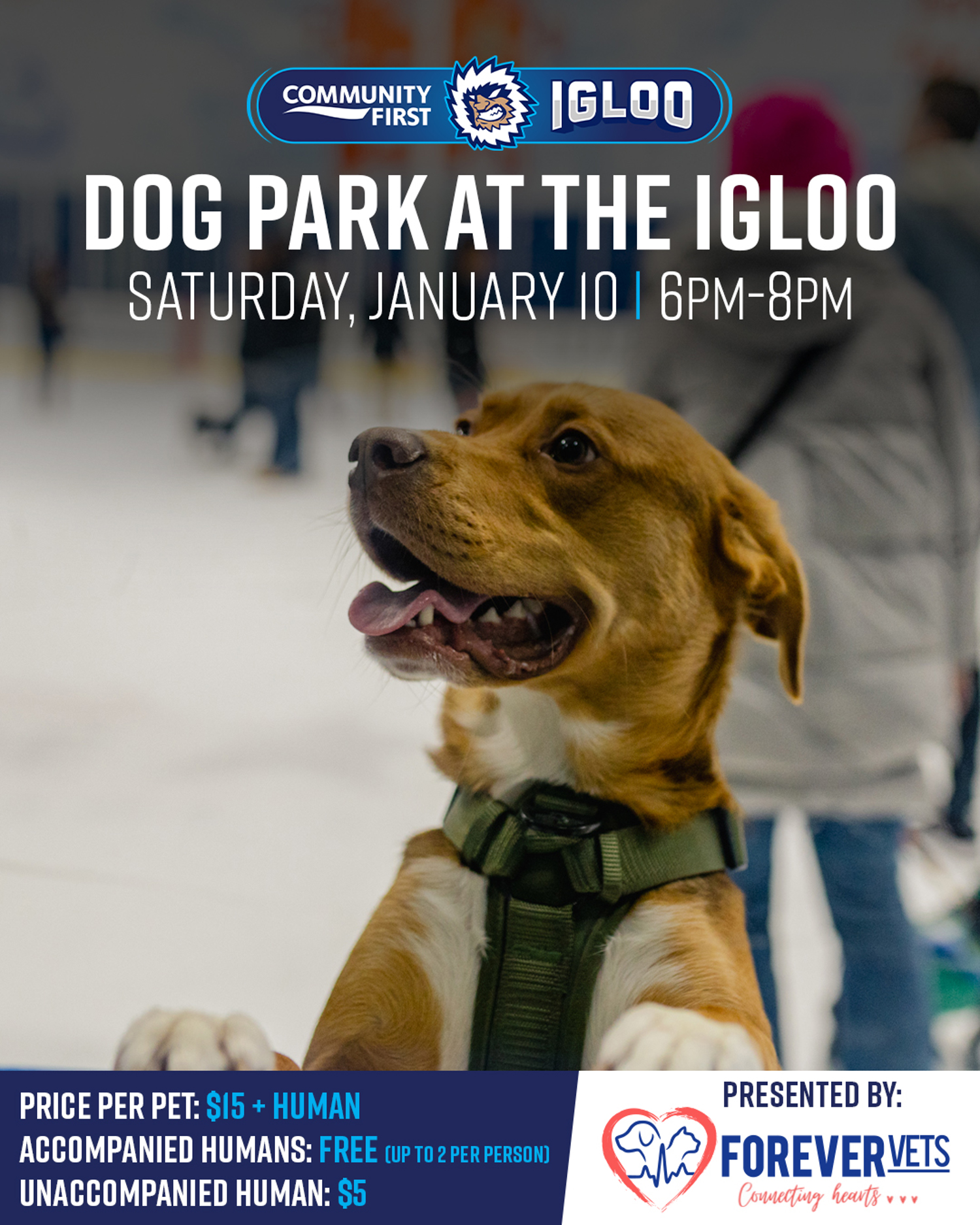 Dogparkattheigloo2026 1080X1350