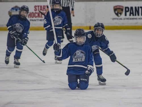 10U Jr Icemen Image 3
